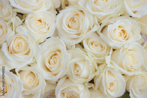 Wedding bouquet of white flowers. White roses.