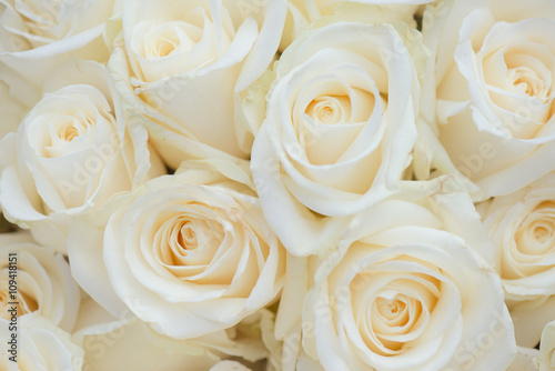 Wedding bouquet of white flowers. White roses.