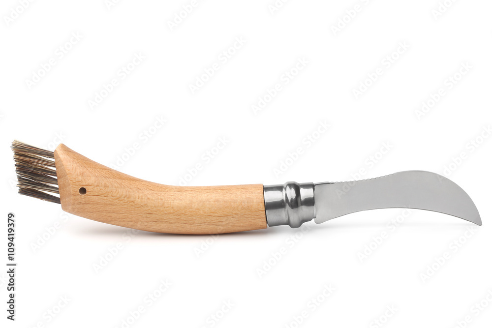 Clasp knife with brush for mushroomon Clasp knife with brush for mushroomon