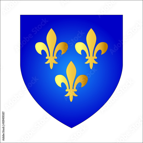 French lily. Coat of arms of French kings, vector illustration. Isolated on white