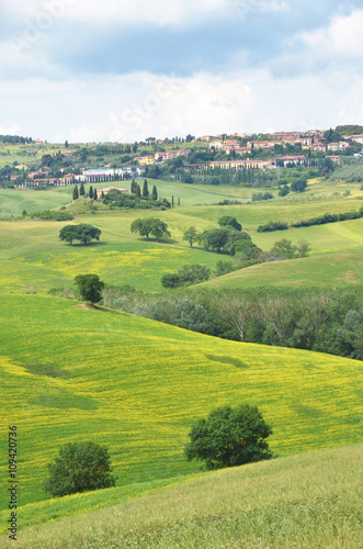 Tuscan landscape  Italy