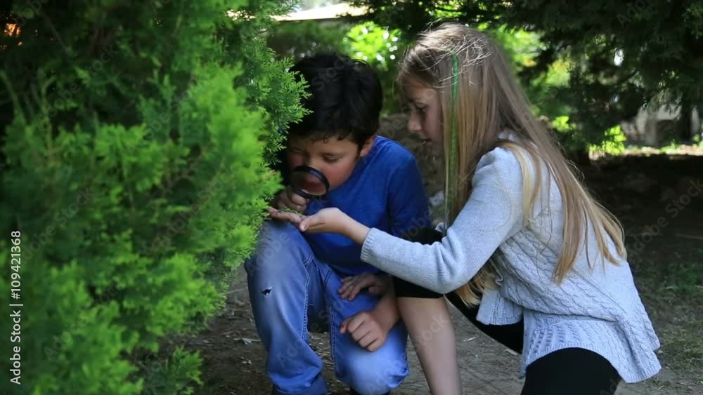 Little girl and boy is playing on green meadow and examining tree leaves using magnifying glass Little girl and boy is playing on green meadow and examining tree leaves using magnifying glass