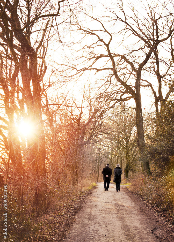 Senior couple walking in the sunset. Winter scene. Senior couple walking in the sunset. Winter scene.