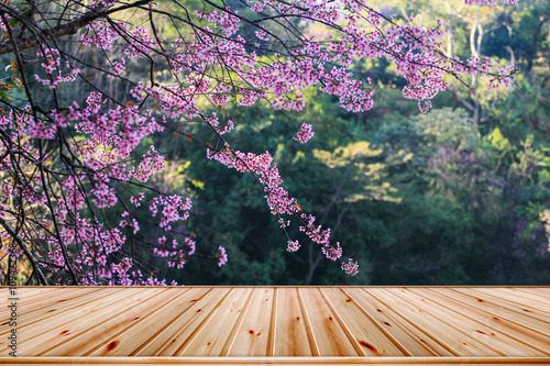 Fresh natural flower in morning. Wood floor and pink cherry blossom flower background photo