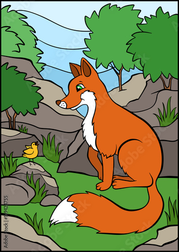 Little cute fox sits and looks at the singing bird.
