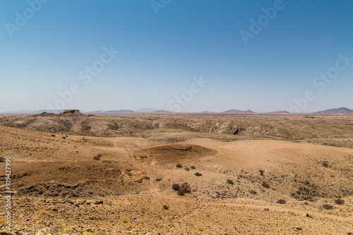 The Sheltering Desert photo