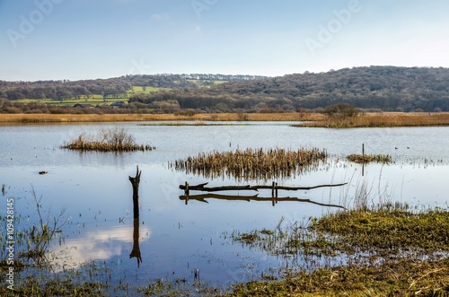 Leighton Moss  Lancashire  England