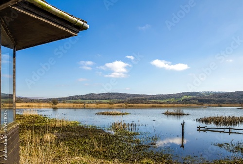 Bird hide  Leighton Moss RSPB  Lancashire  England