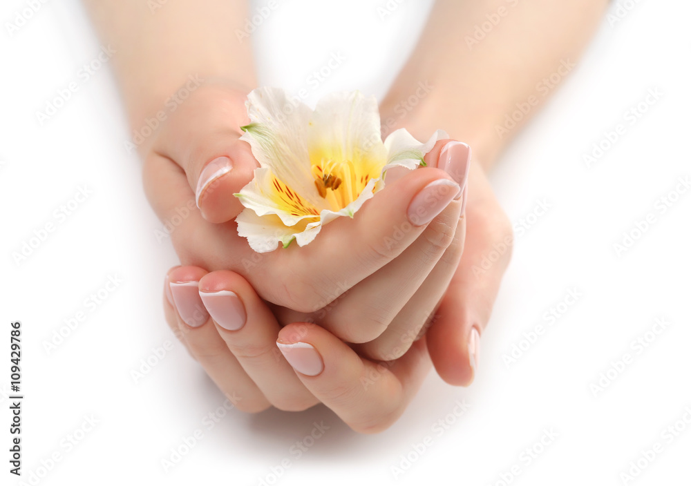 Woman hands with beautiful manicure and white lily isolated on white background
