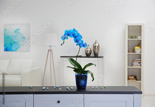 Beautiful blue orchid flower on table in the white room