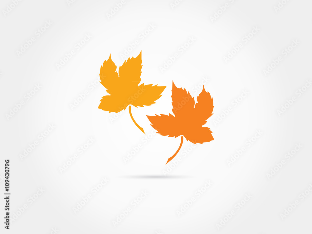 Fototapeta premium Orange Maple leaves 