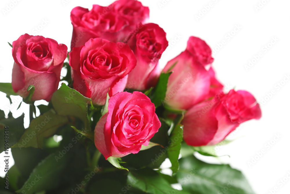 Bunch of pink roses isolated on white Bunch of pink roses isolated on white