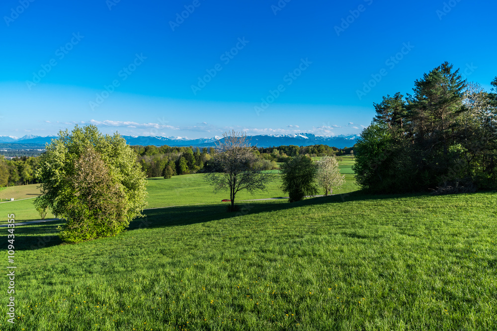 Obraz premium Grüne Natur mit Alpenpanorama bei Wolfratshausen in Bayern