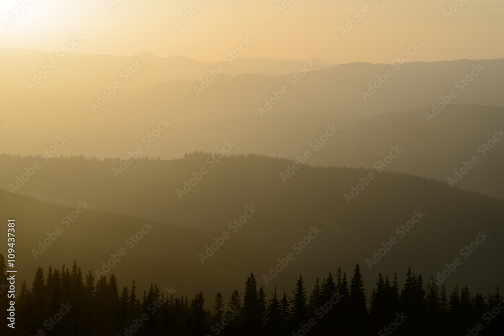 Naklejka mglisty poranek w górach