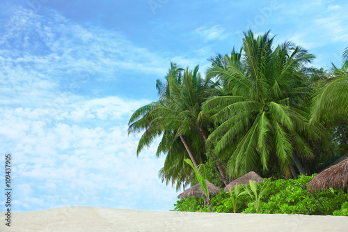Fototapeta Naklejka Na Ścianę i Meble -  Tropical beach and blue sky.