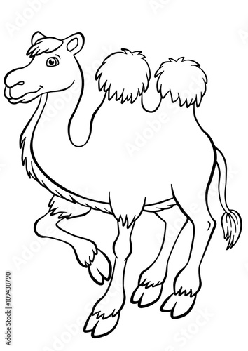 Cute camel stands and smiles.