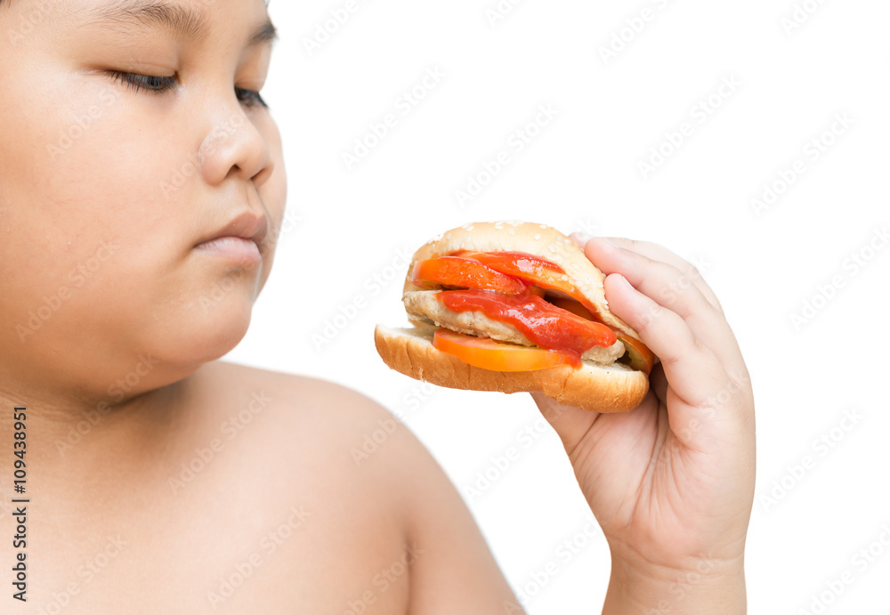 pork cheese Hamburger in obese fat boy hand isolated pork cheese Hamburger in obese fat boy hand isolated