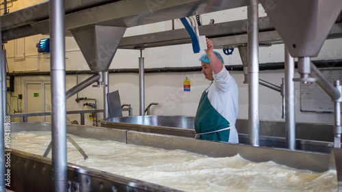 A Cheese factory employee looking after a fresh vat of curd in a local factory