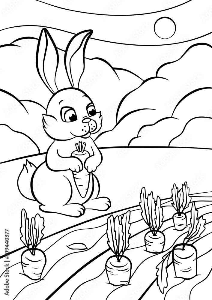 Fototapeta premium Little cute rabbit stands and holds carrot in the hands.