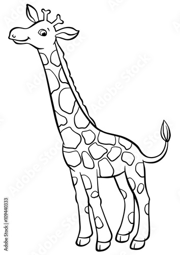 Little cute giraffe stands and smiles.