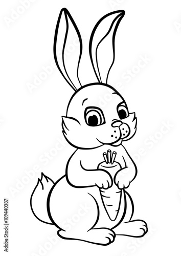 Little cute rabbit stands and holds carrot in the hands.