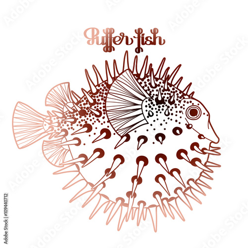 Graphic puffer fish