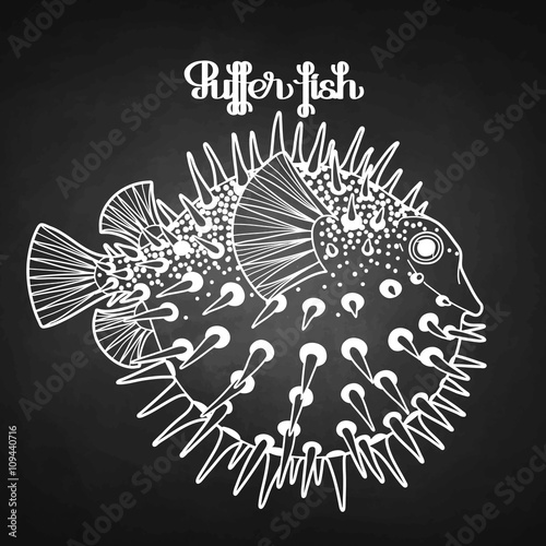 Graphic puffer fish