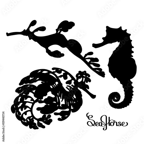 Graphic vector Seahorse silhouettes collection