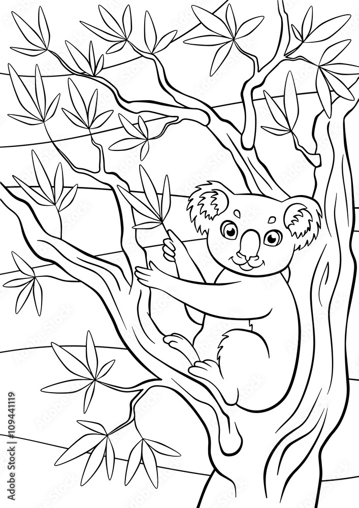 Fototapeta premium Little cute koala sits on the tree and holds eucalyptus.