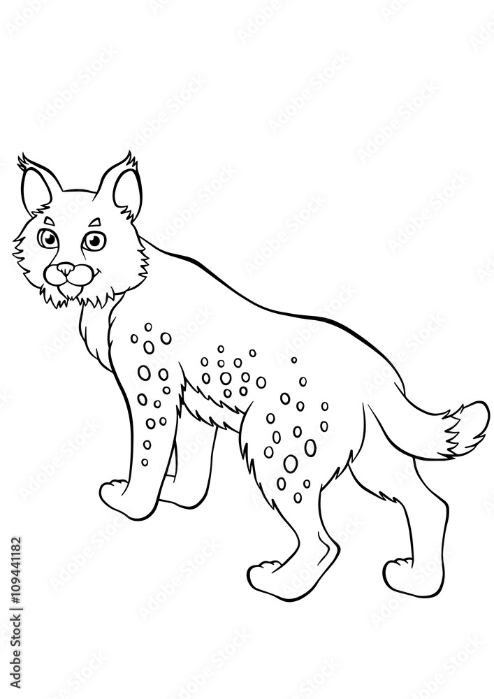 Fototapeta premium Little cute lynx stands and smiles.