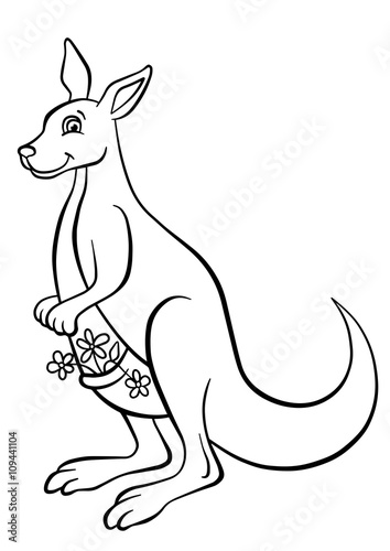 Little cute kangaroo holds flowers in the pocket.