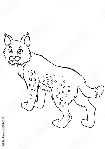 Little cute lynx stands and smiles.