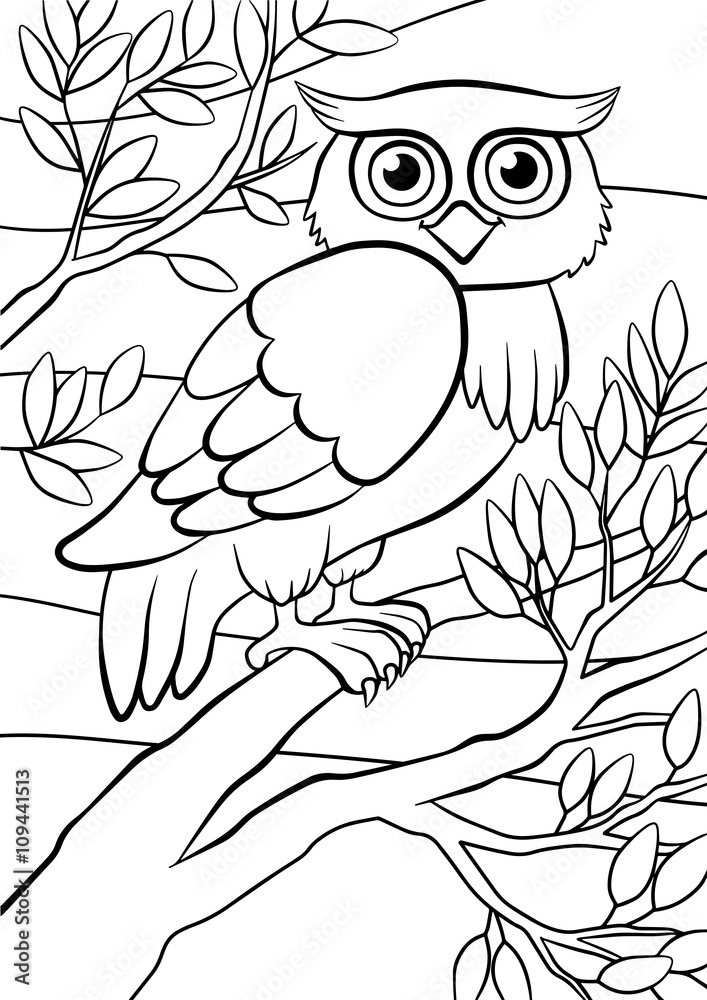Obraz premium Cute owl sits on the tree.