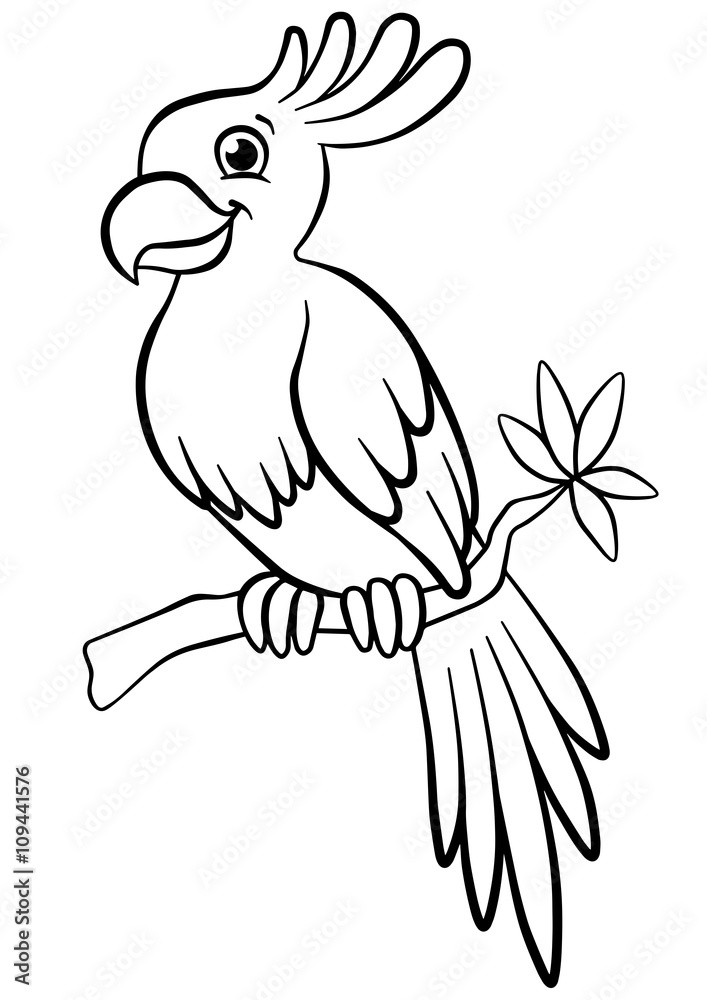 Obraz premium Little cute parrot sits on the branch and smiles.