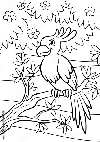 Little cute parrot sits on the branch and smiles.