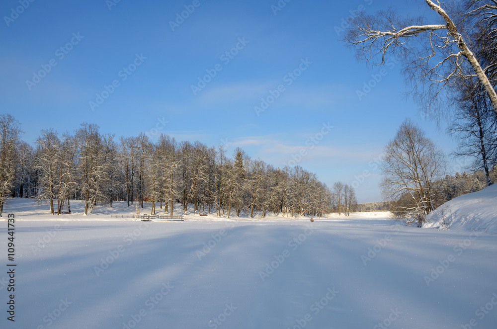 Winter scene Winter scene