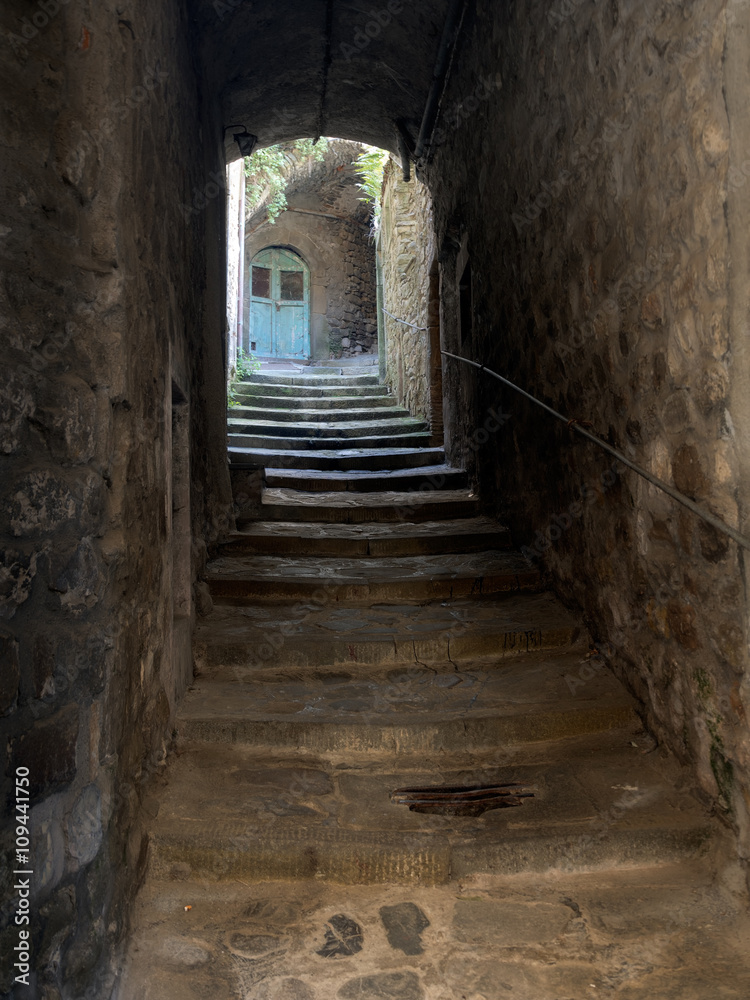 Hidden doorway, Medieval village, Italy. Or psychology metaphor.