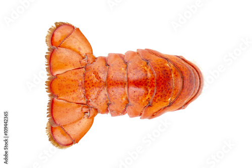 Canvas Print lobster tail