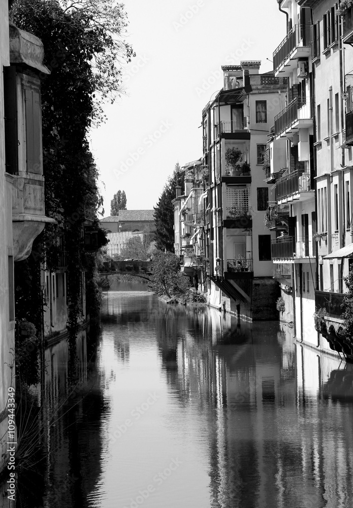 Fototapeta premium Padova