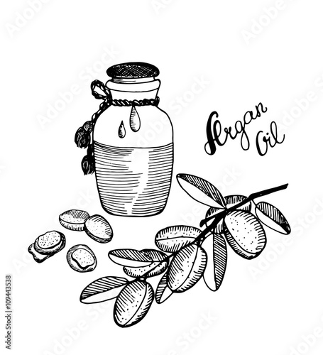 Hand drawn argan, branch sketch. Argan oil bottle. Vector illustration