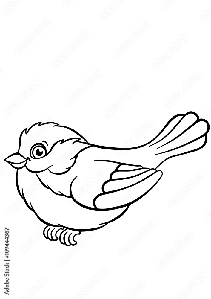 Little cute titmouse sits and smiles. Little cute titmouse sits and smiles.