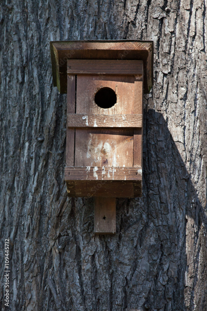 Nest box on a tree