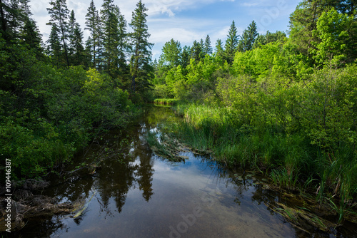 First meters of Mississippi river, just below the headwaters at Lake Itasca