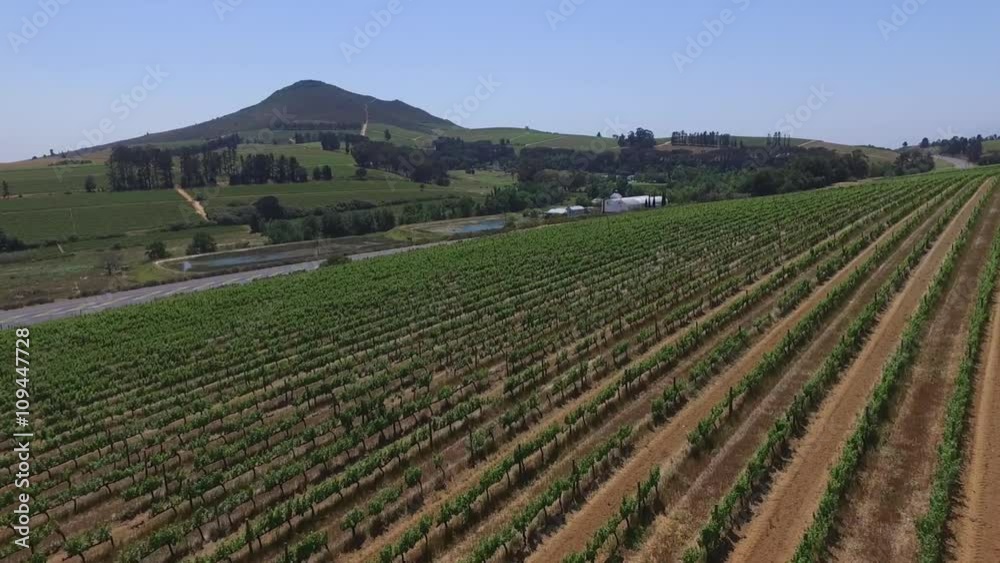 South african vineyards