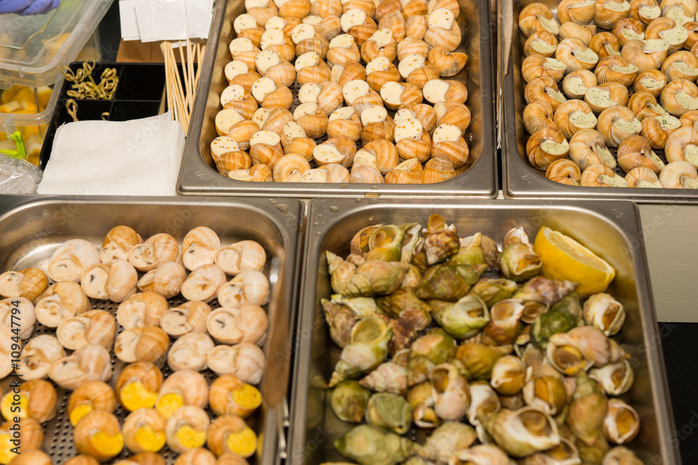 Variety of different stuffed snails on display