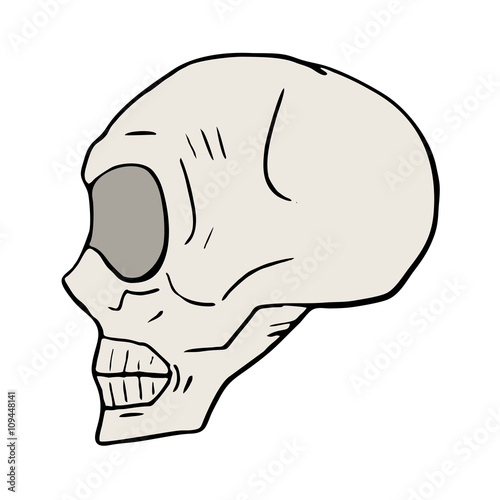 Skull illustration