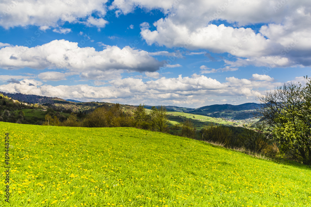 Landscape of the Beskid Mountains.