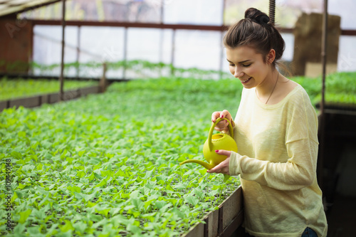 Young farmer girl watering green seedlings in greenhouse photo