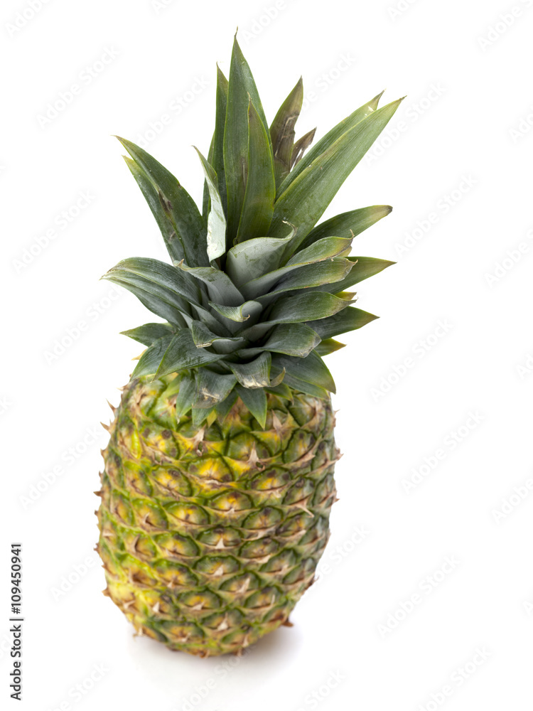 pineapple on white pineapple on white