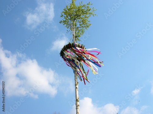 Traditioneller Maibaum aus dem Stamm der Birke mit bunten Bändern im Wind vor blauem Himmel im Sonnenschein in Asemissen bei Bielefeld und Leopoldshöhe am Teutoburger Wald in Ostwestfalen-Lippe photo